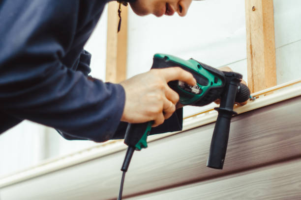 Best Vinyl Siding Installation  in Twin Lakes, NM